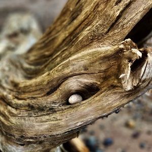 Meet your Posher, Kristopher